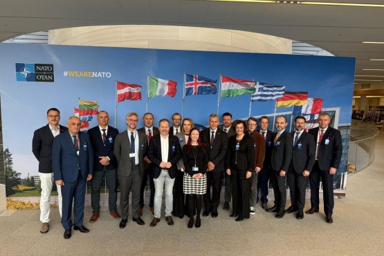 Delegacija Parlamentarne skupštine BiH učestvovala u NATO Programu orijentacije u Briselu